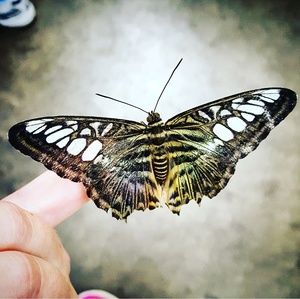 Meet your Posher, Jillian